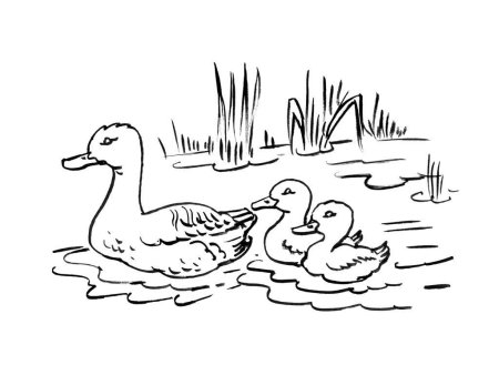 Ребята и утята пришвин иллюстрации