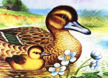 Эм пришвин утята и ребята