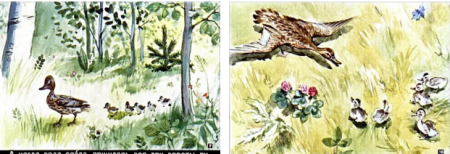 Иллюстрация ребята и утята раскраска