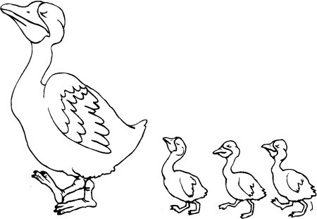 Пришвин утята