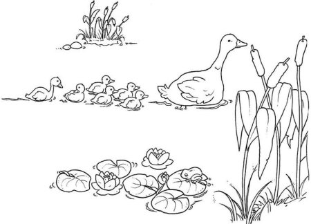 М. Пришвина «ребята и утята»