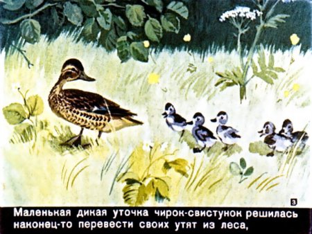 Ребята и утята пришвин рисунок