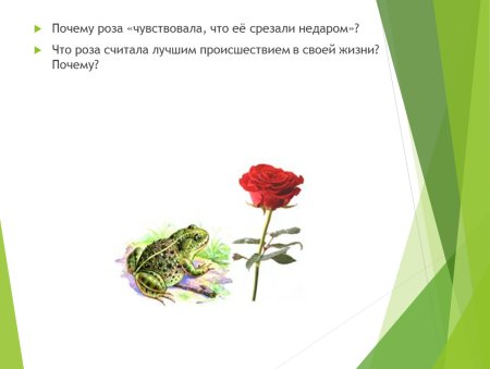 Иллюстрация к сказке о жабе и Розе
