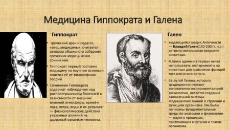 Гиппократ – родоначальник древнегреческой медицины.