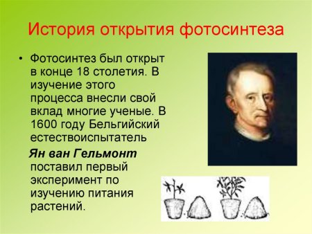 Исследователи психологии