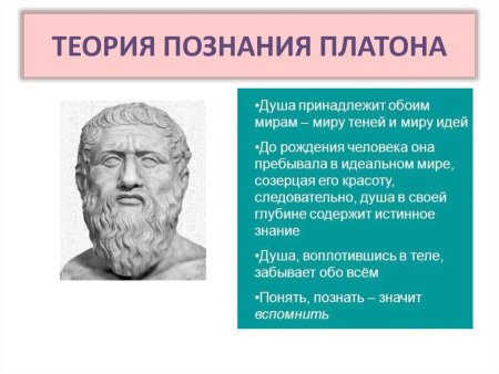 Ян Ван Гельмонт открытие