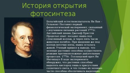 Философия л.н Толстого