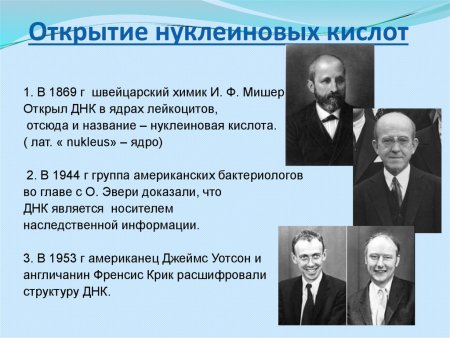 Роберт Гук клеточная теория