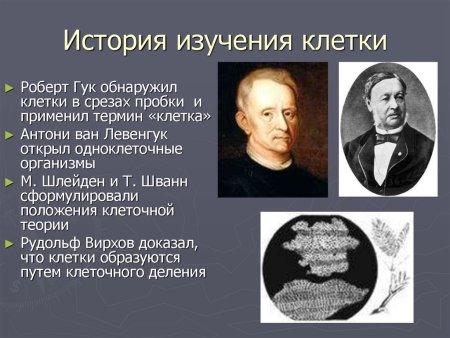 Ланге Николай Николаевич (1858-1921)