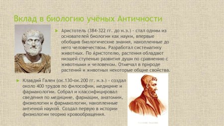 Учение Вернадского о ноосфере кратко