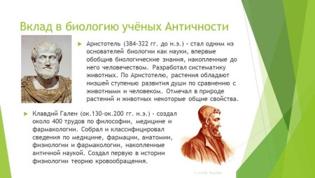 Ученые изучавшие аутизм