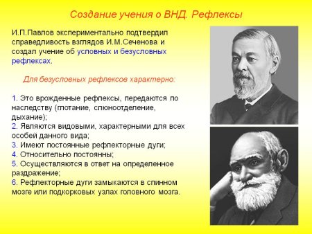 Вернадский Владимир Иванович вклад в науку