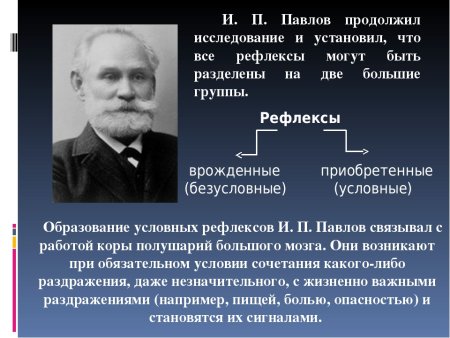 Николай Николаевич Бекетов Химик 1827-1911