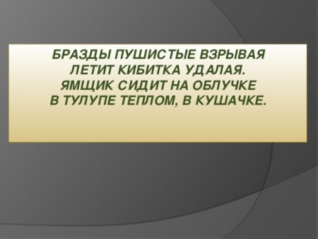 Бильжо свободу птицам