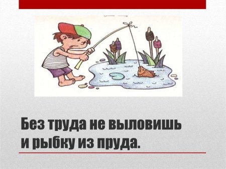 Без труда не выловишь и рыбку из пруда