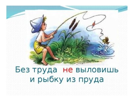 Без труда не вытащишь и рыбку из пруда