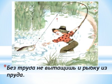 Пословица без труда не выловишь и рыбку из пруда