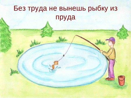 Без труда не воловить рыбку из пруда