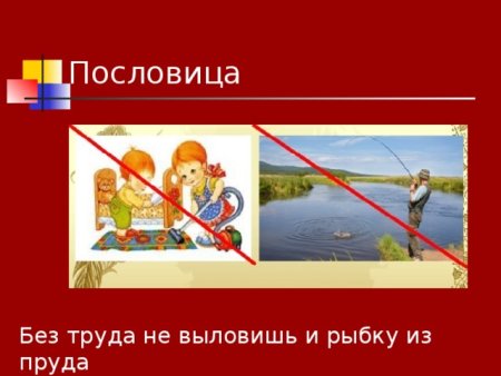 Без труда не выловишь и рыбку из пруда