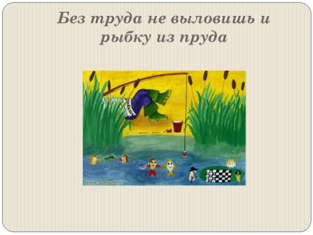 Без труда не вытащишь и рыбку из пруда