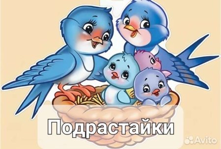 Птички для украшения группы в детском саду