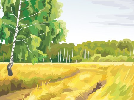 Береза рисунок