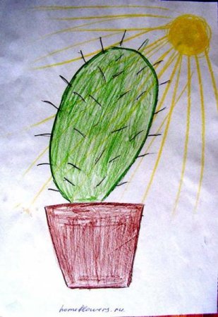 Рисование для детей комнатные растения