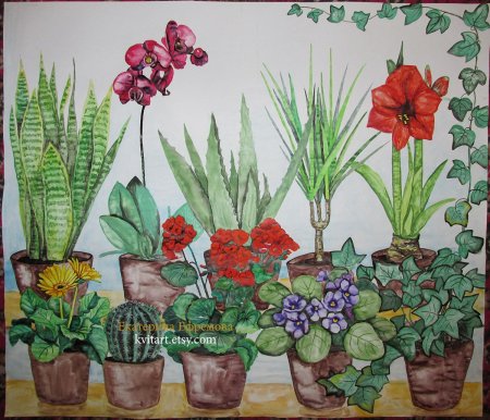 Бегония раскраска цветок