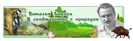 Виталий Бианки причина смерти