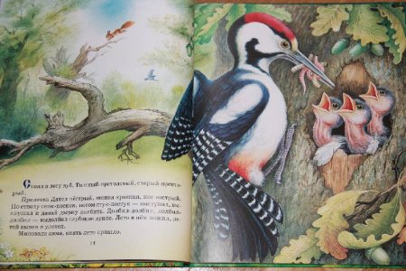 Сказки Виталия Бианки о животных книжка