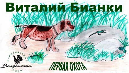 Первая охота Виталий Бианки рисунки