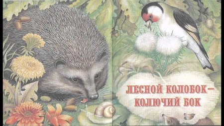 Лесной Колобок колючий бок Бианки
