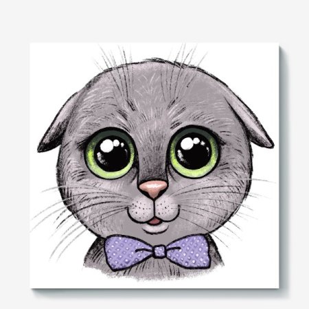 Шотландский вислоухий скоттиш фолд рисунок