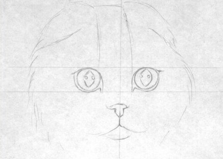 Сидячая кошка рисунок