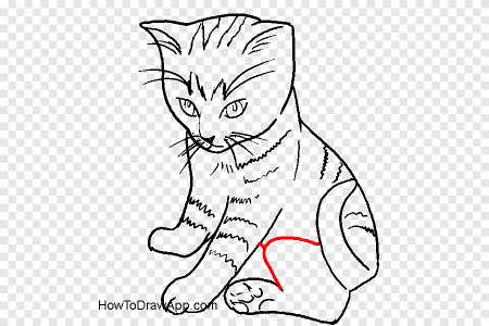 Вислоухая кошка карандашом