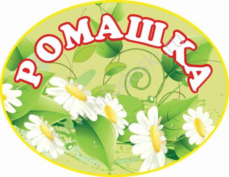 Группа Ромашка в детском саду