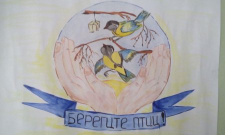 Покормите птиц зимой