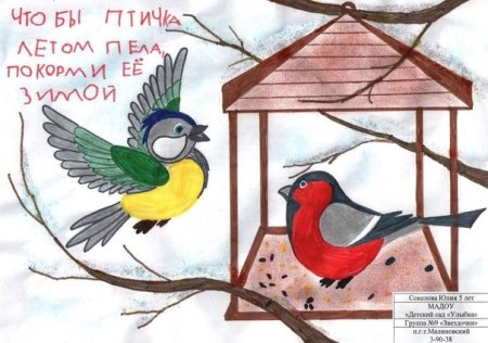 Плакат Покормите птиц зимой