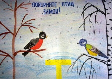 Листовки о защите птиц