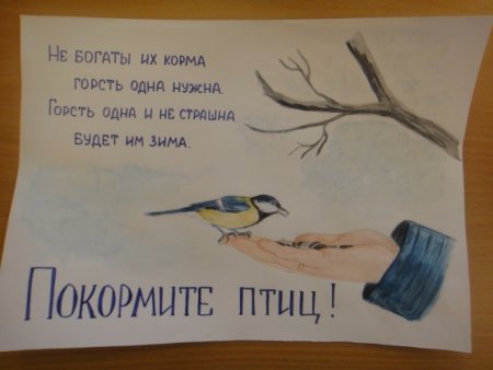 Птицы наши друзья