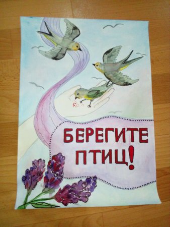 Плакат берегите птиц