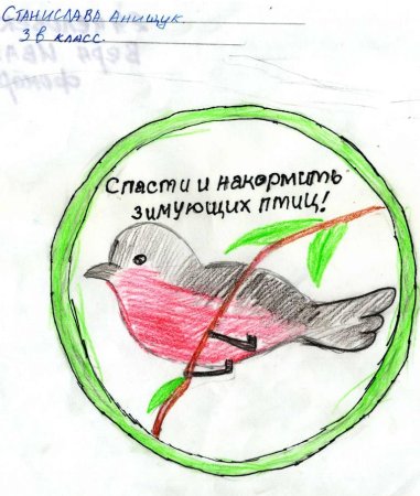 Плакат берегите птиц