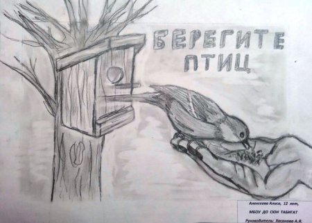 Плакаттпоеормите птиц зимой