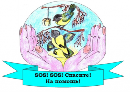 Птицы на кормушке рисование для детей