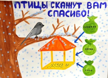 Плакат птицы