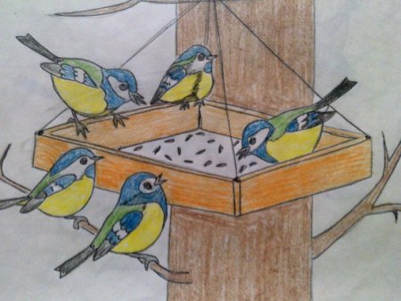 Рисование зимующие птицы