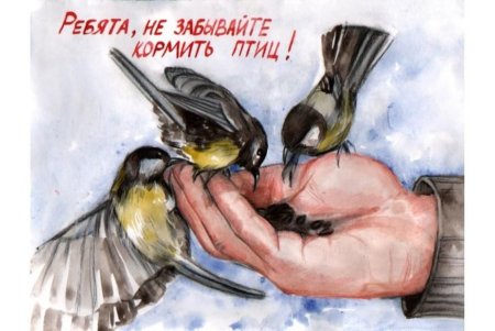 Плакат Покормите птиц