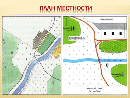 План местности гуси лебеди