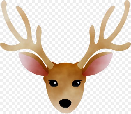 Мордашка оленя