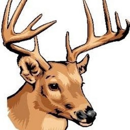 Мордочка оленя